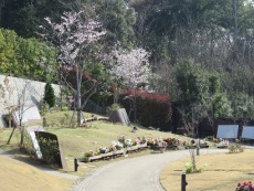 <span class="smallfont">桜の里（募集期間2015年4月～）</span>